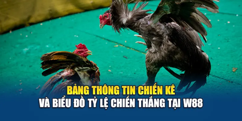 Đá Gà Campuchia W88 – Theo Dõi Trực Tiếp Trận Đấu Đỉnh Cao 3 Bảng thông tin chiến kê và biểu đồ tỷ lệ chiến thắng tại W88