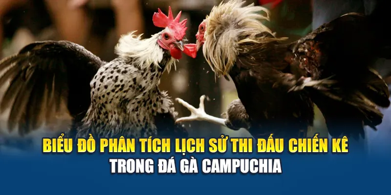 Đá Gà Campuchia W88 – Theo Dõi Trực Tiếp Trận Đấu Đỉnh Cao 2 Biểu đồ phân tích lịch sử thi đấu chiến kê trong đá gà Campuchia