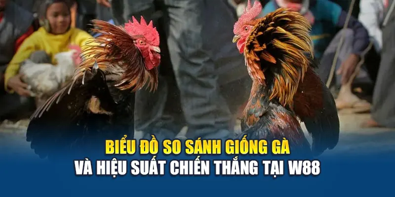 Đá Gà Cựa Sắt W88 Hấp Dẫn Với Tốc Độ Cao Và Kỹ Thuật 2 Biểu đồ so sánh giống gà và hiệu suất chiến thắng tại W88