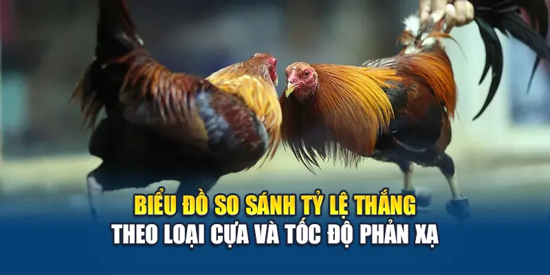 Đá Gà Cựa Dao W88 Hấp Dẫn Với Tốc Độ Nhanh Quyết Liệt 2 Biểu đồ so sánh tỷ lệ thắng theo loại cựa và tốc độ phản xạ