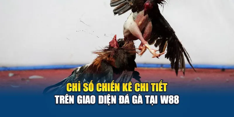 Tổng Hợp Kinh Nghiệm Đá Gà Hiệu Quả Tại Nhà Cái W88 1 Chỉ số chiến kê chi tiết trên giao diện đá gà tại W88